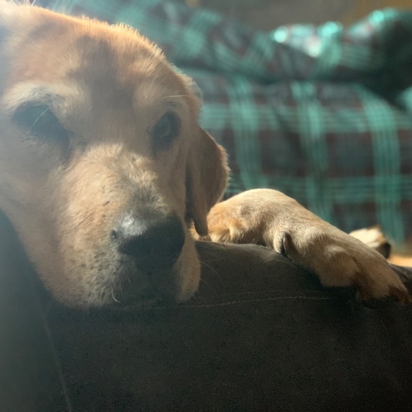 Meet your Posher, Caro - Picture 2 of 4